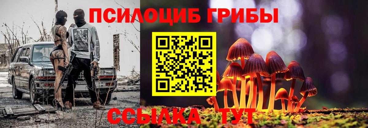Новокубанск  Галлюциногенные грибы MAGIC MUSHROOMS  Вход с VPN  Галлюциногенные грибы ЛСД 